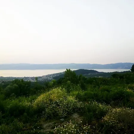 Villa Sapanca Mohti Villa Sapanca
